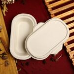 VIK® 500 ML Disposable Containers Box With Lids (25), Biodegradable Bagasse food storage Disposal, Take Away Box, Kitchen, Parties, Delivery, Packaging, Cover, Brown (24 cm x 13 cm x 4 cm)