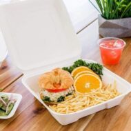 VIK 8 x 8 INCH CLAMSHELL , BAGASSE BIODEGRADABLE, WHITE BENTO BOX