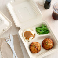 VIK 8 x 8 INCH 3 CP CLAMSHELL , BAGASSE BIODEGRADABLE, WHITE BENTO BOX