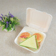 VIK 8 x 8 INCH CLAMSHELL , BAGASSE BIODEGRADABLE, WHITE BENTO BOX - Image 3