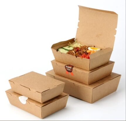 VIK 500 ML Meal Paper Box, Biodegradable