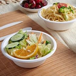 VIK 240 ML Round Disposable Bowls, White Bagasse, Biodegradable (2400 PCS)