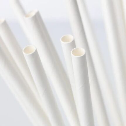VIK 12 MM PAPER WHITE STRAW , Biodegradable (2000 PCS)