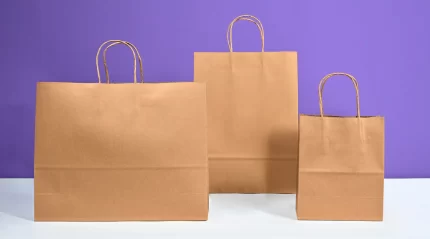 VIK SMALL PAPER HANDLE CARRY BAG (7.5 X 8.5 X 7 Inches), Biodegradable