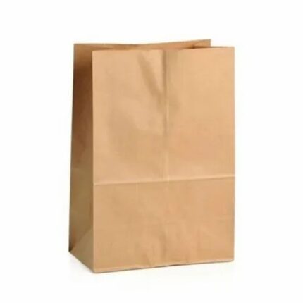 VIK SOS PAPER BAG (9 X 11 Inches), Biodegradable