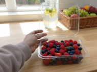 1250 ML HINGED CONTAINER