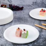 7 INCH PLATE